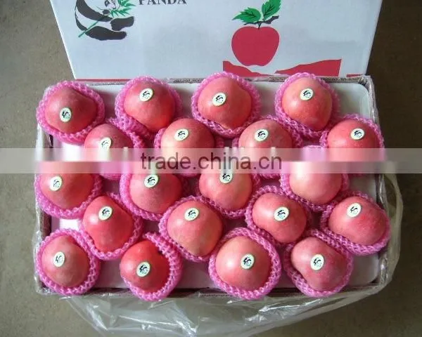 Hot Sale Fuji Apple photo-3
