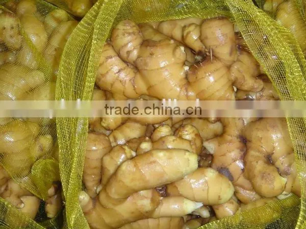 Specification Fresh Ginger photo-2