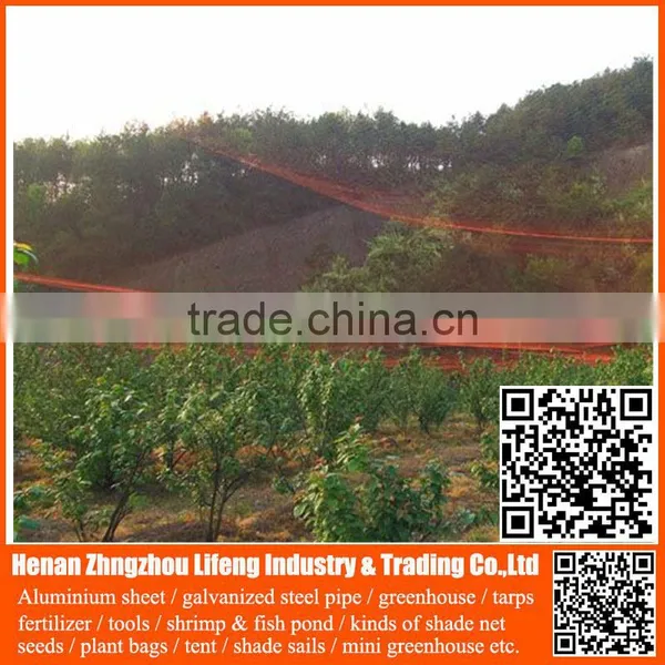 Invisible Bird Control Plastic Mesh Netting , pe Plastic Bird Hunting Device Anti Bird Net , Nylon Fruit Bird Protection Net