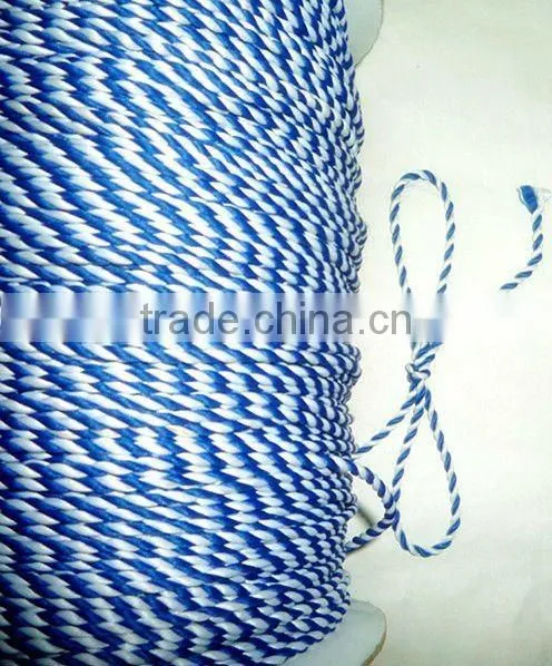 Tremendous and Hilarious 6mm White Nylon Diamond Braided Rope photo-4