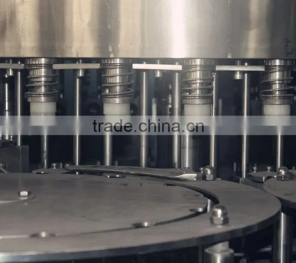 Plastic Bottle Juice Hot Filling Equipment Price photo-4