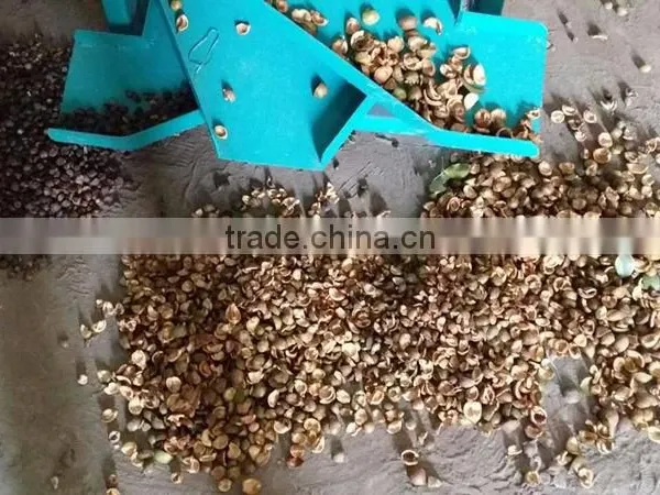 Good Design Camellia Fruit Peeling Machine in Stock photo-6