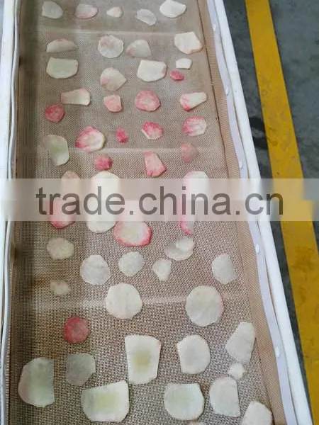 New Design Microwave Vacuum Dryer for Peach Slice photo-3