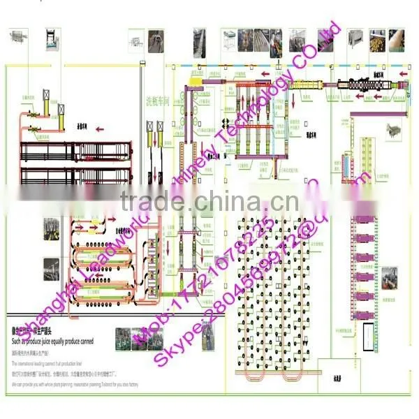 Professional and Factory Price Fish Canned Production Line photo-6