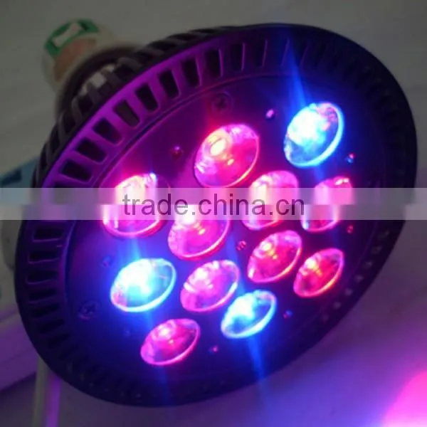 Factory Price 36w Par Replacement Led Grow Bulbs photo-3