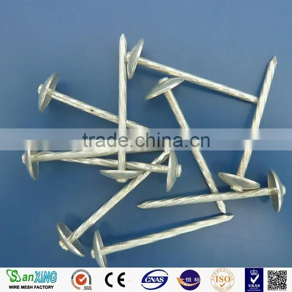 Long Span Roofing Nail/roofing Nails