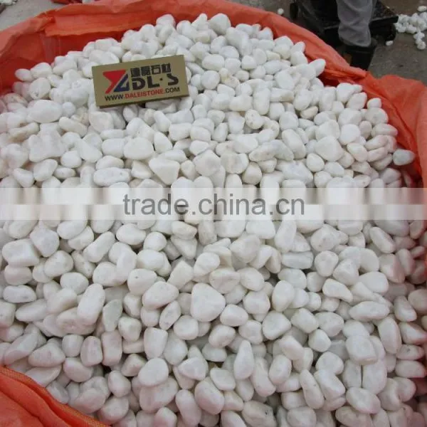 Natural River Stone White Round Pebble Stone 2-4cm photo-2