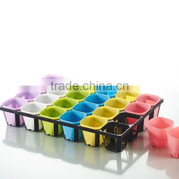 Plastic 24 Divided Plastic Material Hydroponic Seedling Trays photo-4