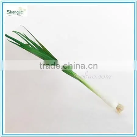 Cheap Artificial Decoration Plastic Vegetable photo-2