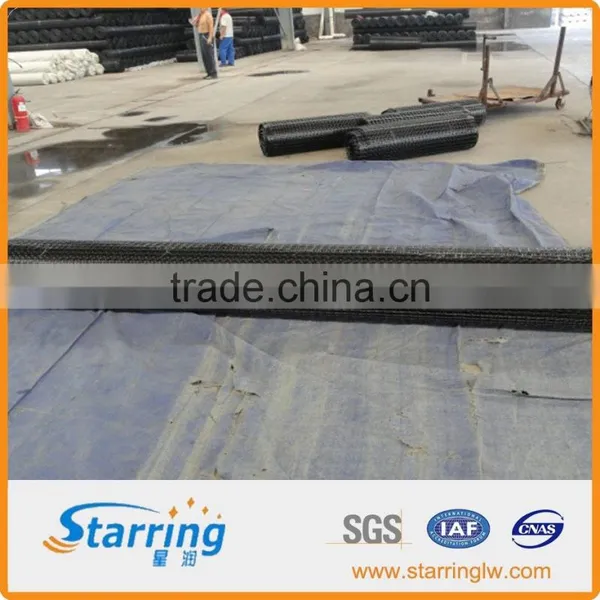 Polypropylene Biaxial Geogrid for Slope Wall Strengthen photo-2