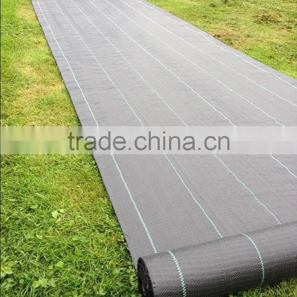 Silt Fence Selvedge Ground Cover photo-4