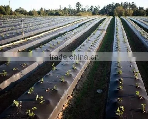 PP Weed Mat With Ground Nail photo-5