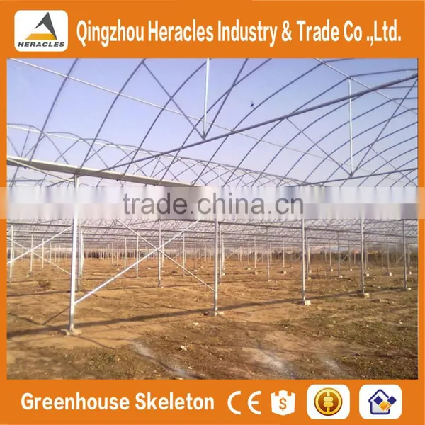 Heracles Economical Plastic Commercial Low Cost Multi Span Plastic Greenhouses With Automatic Irrigation System photo-5