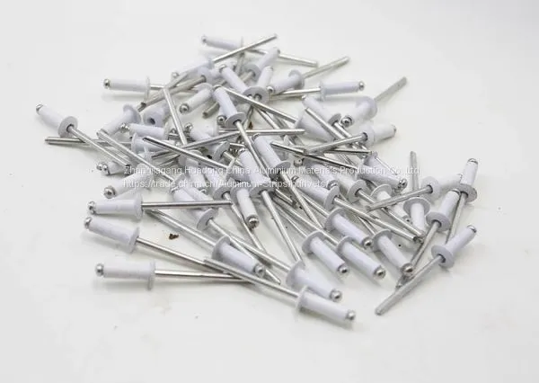 Solid Rivet