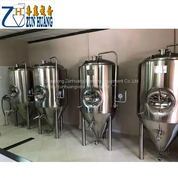 Wholesale 300L 500L Micro Beer Brewing Equipment ,craft Beer Brewery for Sale photo-3