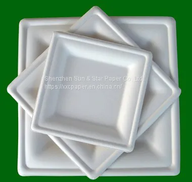 Square Plate 26x26cm in an array of shapes and sizes eco-friendly compostable plate