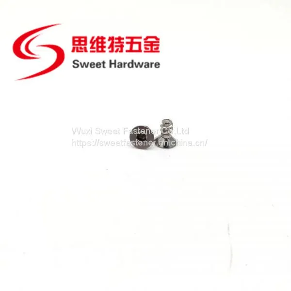 Countersunk Head Socket Screw A2 A4 Stainless Steel Blunt Tip Tapping Screw With Competitive Price photo-5