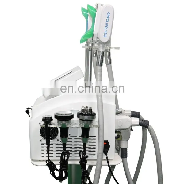 Newest 2 Cryo Handle Vacuum Fat Freezing Weight Loss Lipo Laser Shape Slimming Machine photo-4
