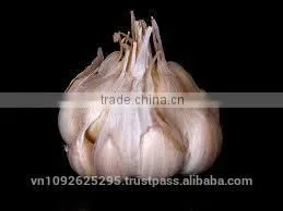 NATURAL GARLIC photo-6