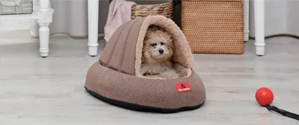 Creative Slippers Shape Pet Bed With Memory Foam Cushion photo-2