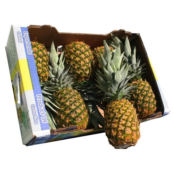 OEM Recyclable Coated Paper 1kg Orange Fruit Box for Export Shipping photo-3