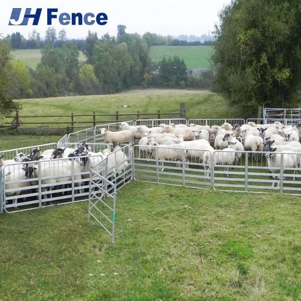 Smooth Solid Surface Sheep Panel: Eliminates Wool Snagging & Hoof Injuries for Safer, Healthier Animal Containment