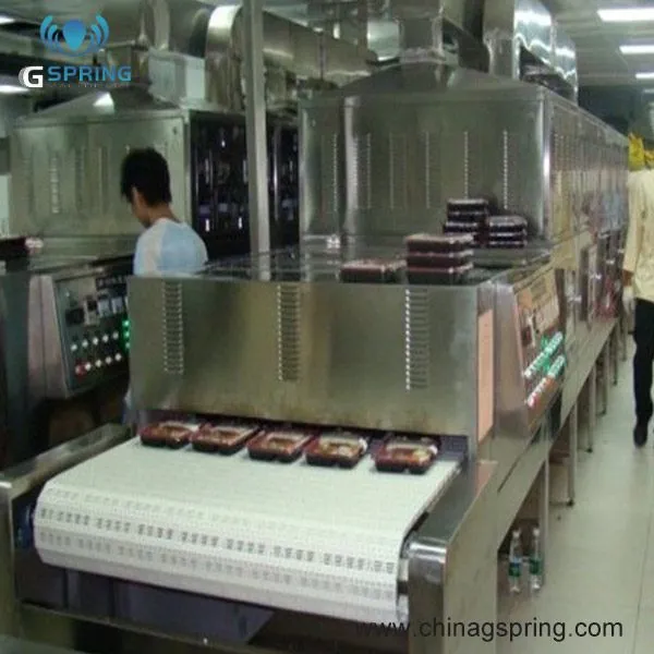 SUS304 Stainless Steel Microwave Drying Machine for Fast Food Industrial Drying and Sterilization Belt Drying Machine photo-5