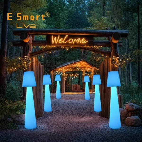 Standing Floor Lamp Outdoor Waterproof Floor Led Light Newly Design Led Luxury Floor Lamp Garden Lights Bar Led Solar photo-4
