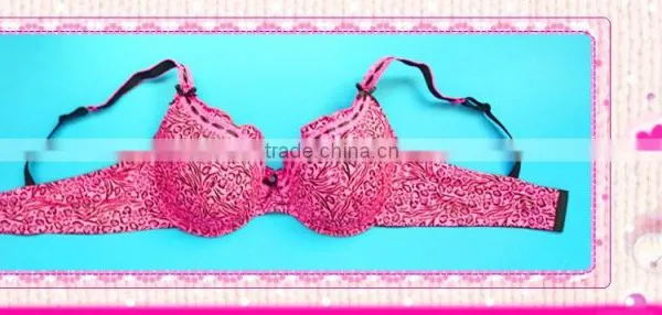 Plus Size Underwear Set, Plus Size Bra Factory photo-4