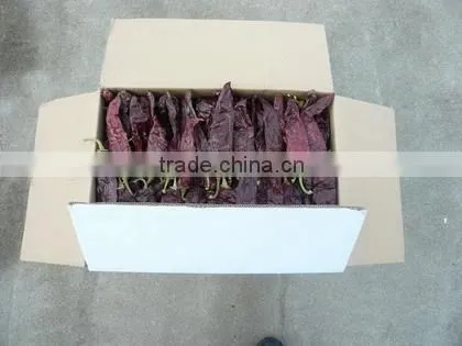 Chinese Exported Dry Sweet Paprika Whole photo-5