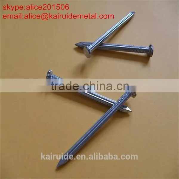 Common Nail/size of Common Nail/iron Nail Factory photo-2