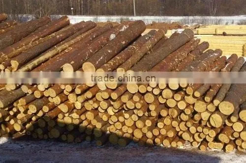 RUSSIAN Timber Log / Sawlogs /Wood Round Logs / Lumber /PINE / SPRUCE / LARCH / BIRCH