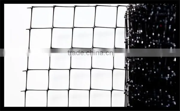 High Tensile Chicken &poultry Fence Netting/farm Fence Net photo-6