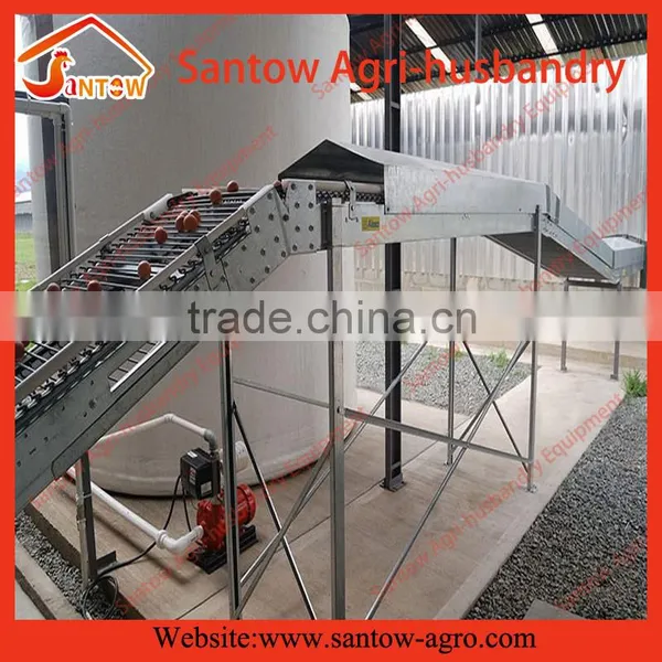 Stable Steel Structure Professional Chicken Egg Layer Cage Chicken Poultry Equipment photo-2