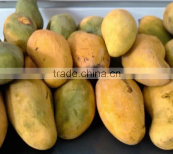Fresh Chunsa Mango photo-6
