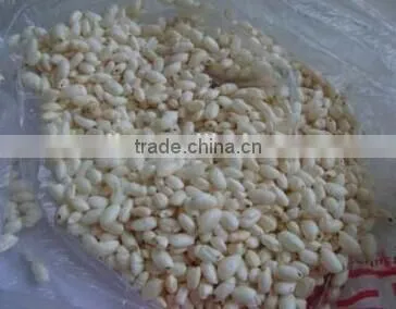 Automatic Industrial No Oil Corn Rice Pop Wheat Machine Quality Choice photo-6