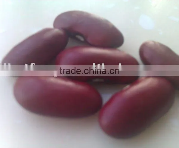 Dark Red Kidney Bean( 2013 Crop, Heilongjiang Origin, Hps)