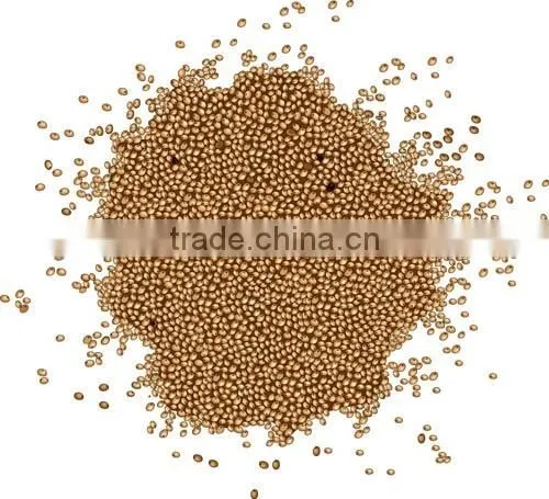 Amaranth photo-2