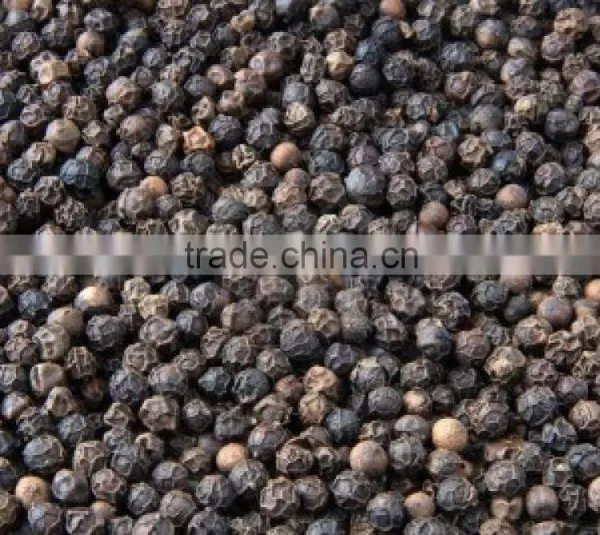 Indian Black Pepper Seed 500gl/550gl