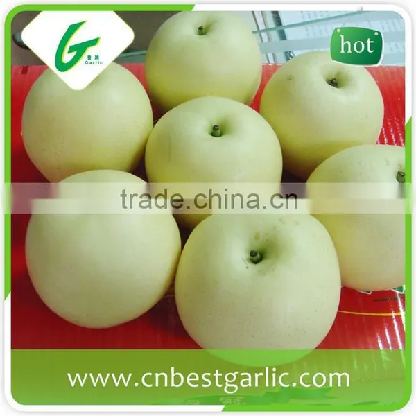 9kg 18kg Bulk Fresh Crown Pear photo-6