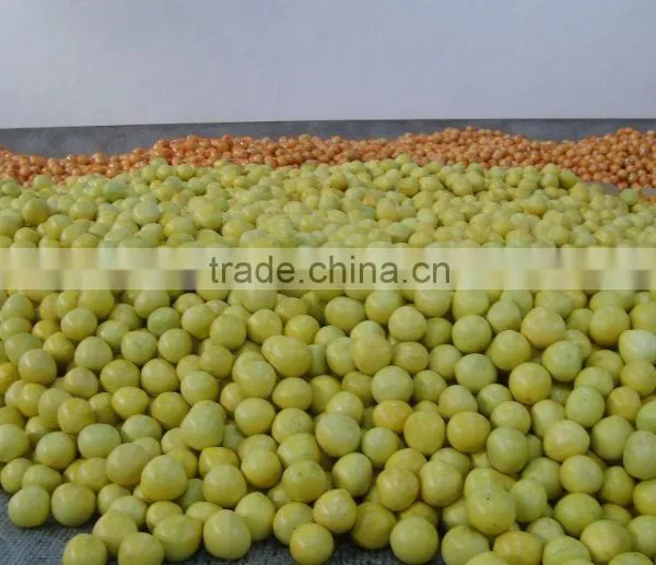 New Crop Fresh Honey Guangxi Pomelo photo-2