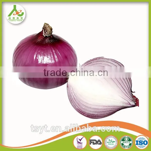 Fresh Red Onion From China photo-6