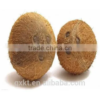 High Quality Coconut Oil Cold Pressed Hair Care Skin Care 500ml photo-4