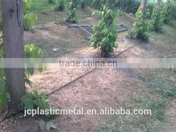 Cambodia Hot Sale Pepper Irrigation System photo-4