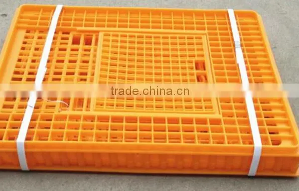 Birds Transportation Crates photo-5