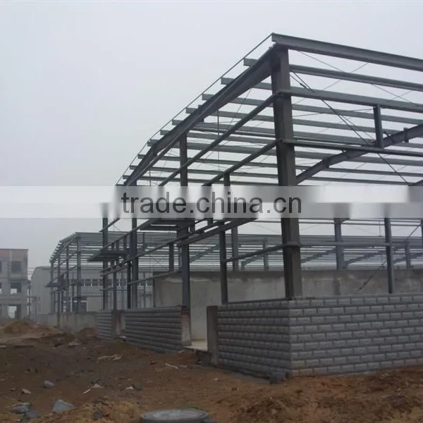 Professional Steel Structure House With High Quality