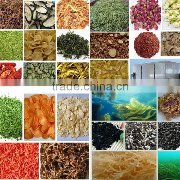 Fruits And Vegetable Drying Machine photo-3