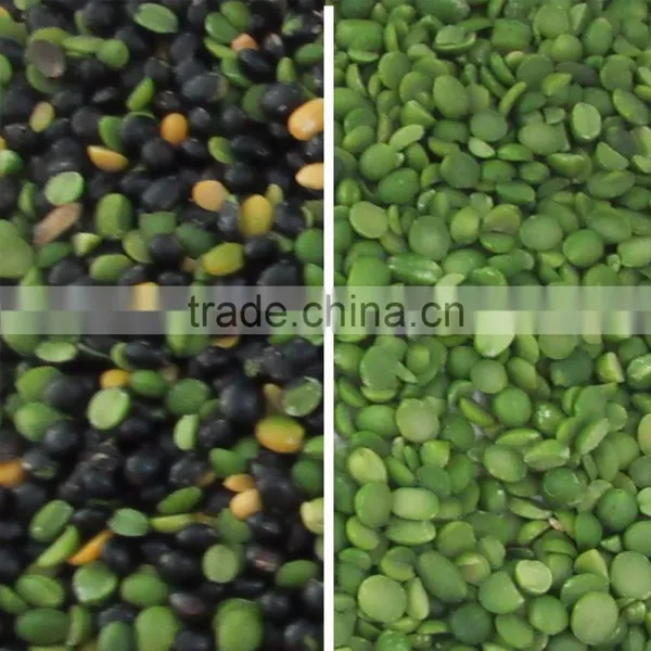 Best Selling Mung Bean Slices Color Sorter Price photo-2