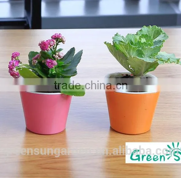 Hydroponic Bright Color Small Plastic Flower Pot for Home Garden Interior Christmas Decoration photo-4
