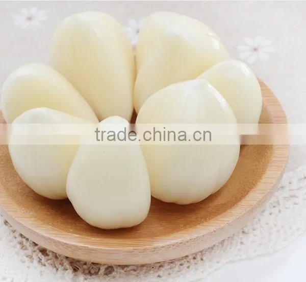Best Price of Chinese Fresh Garlic photo-4